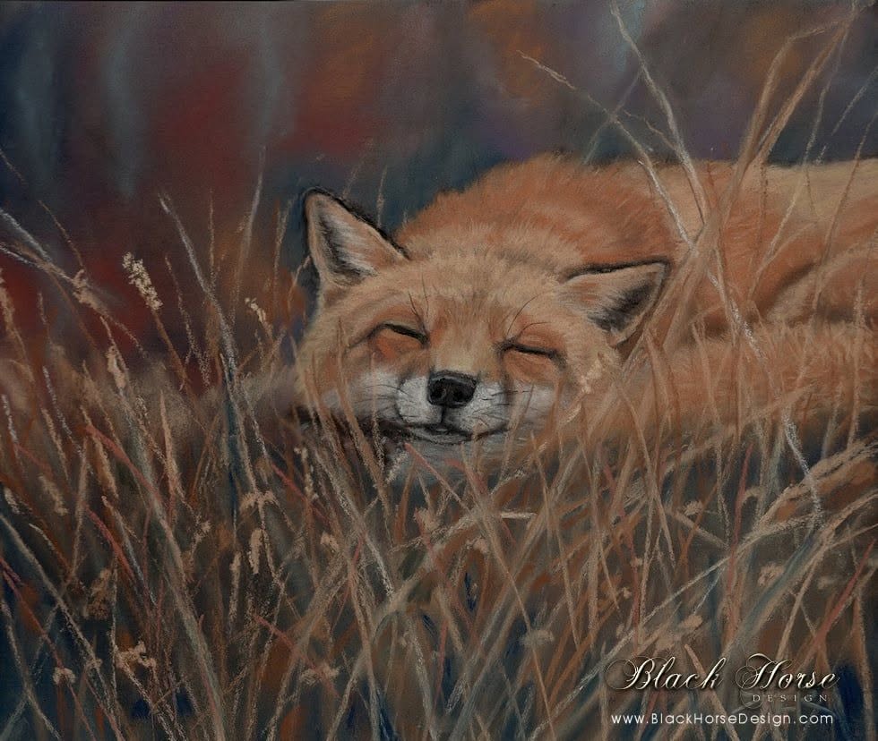Foxy - Wildlife Painting