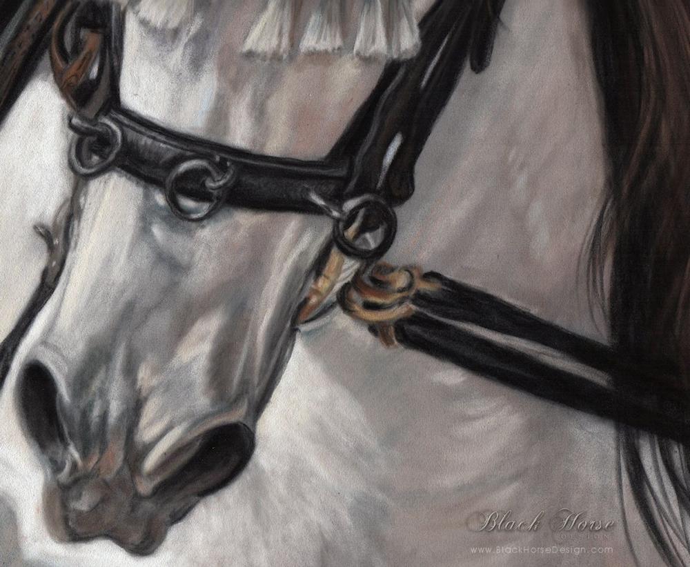 Equine Artwork