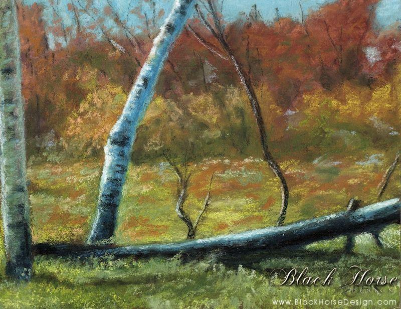 Prairie Landscapes