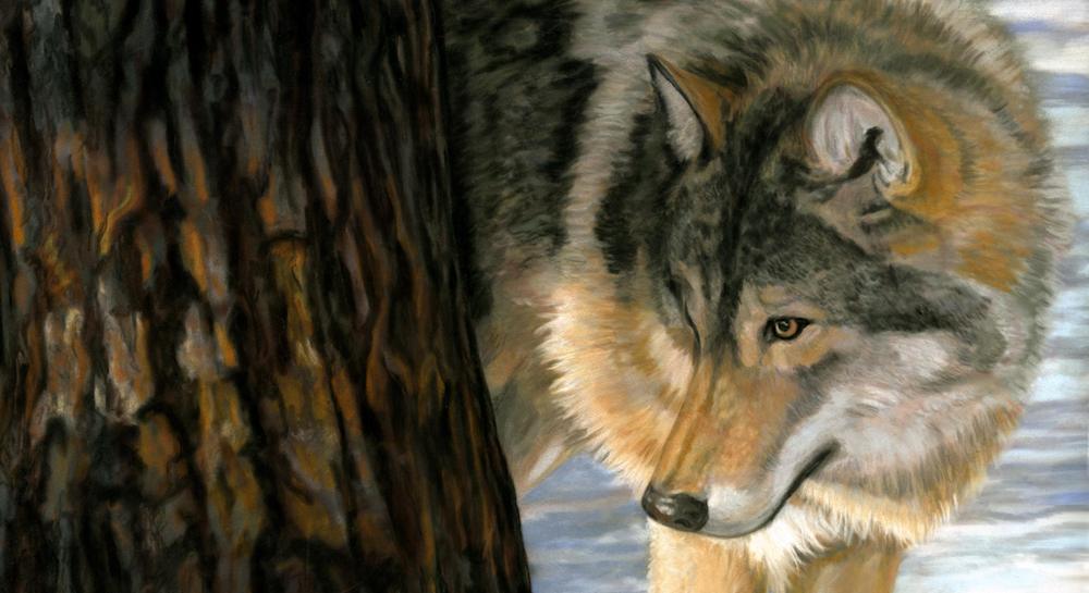 Wildlife and Animal Artwork